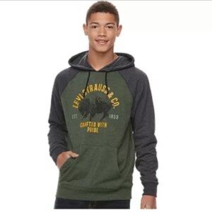 Levi's Dark Green and Blue Buffalo Graphic Hoodie - XXL